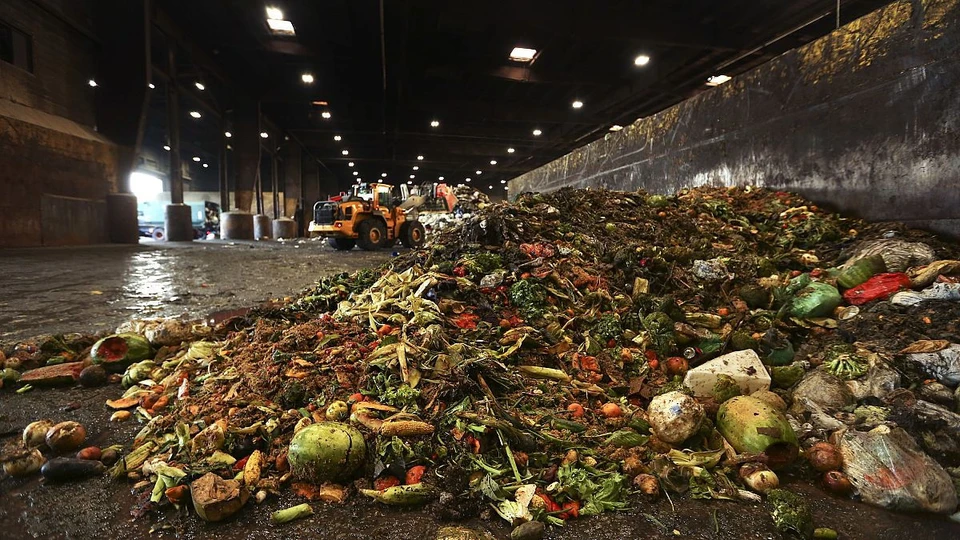 19% произведённых продуктов питания и остатков пищи отправляются в мусор. Фото:соцсети