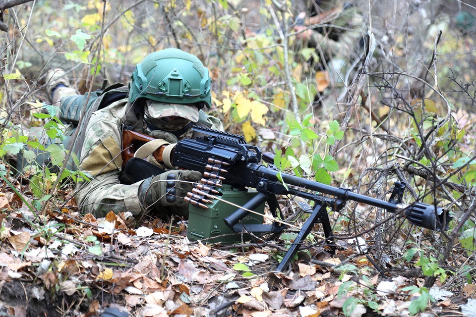 Вооруженные силы РФ успешно проводят Специальную военную операцию.