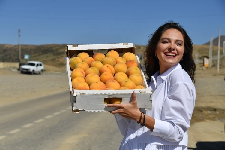 Жара в помощь: крымские фрукты появятся на прилавках раньше обычного
