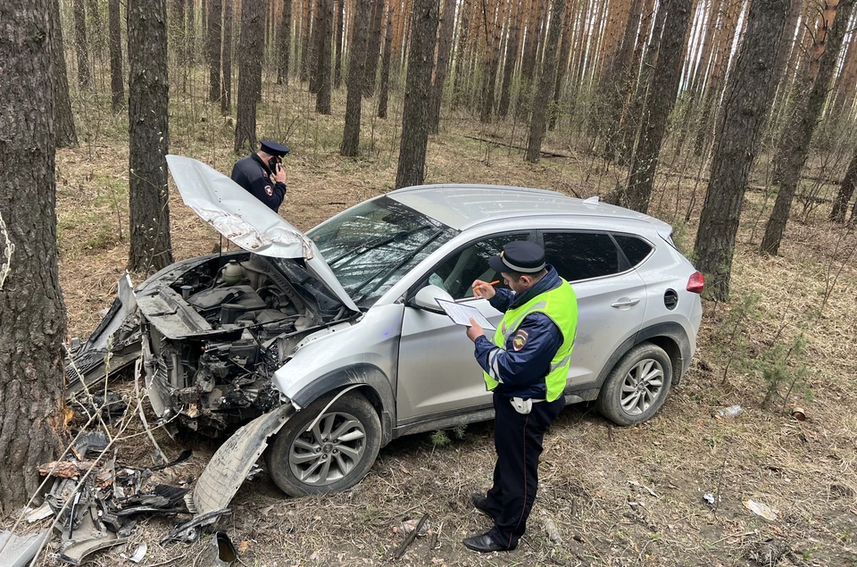 Водитель съехал в дороги и врезался в дерево. Фото: ГИБДД по Свердловской области
