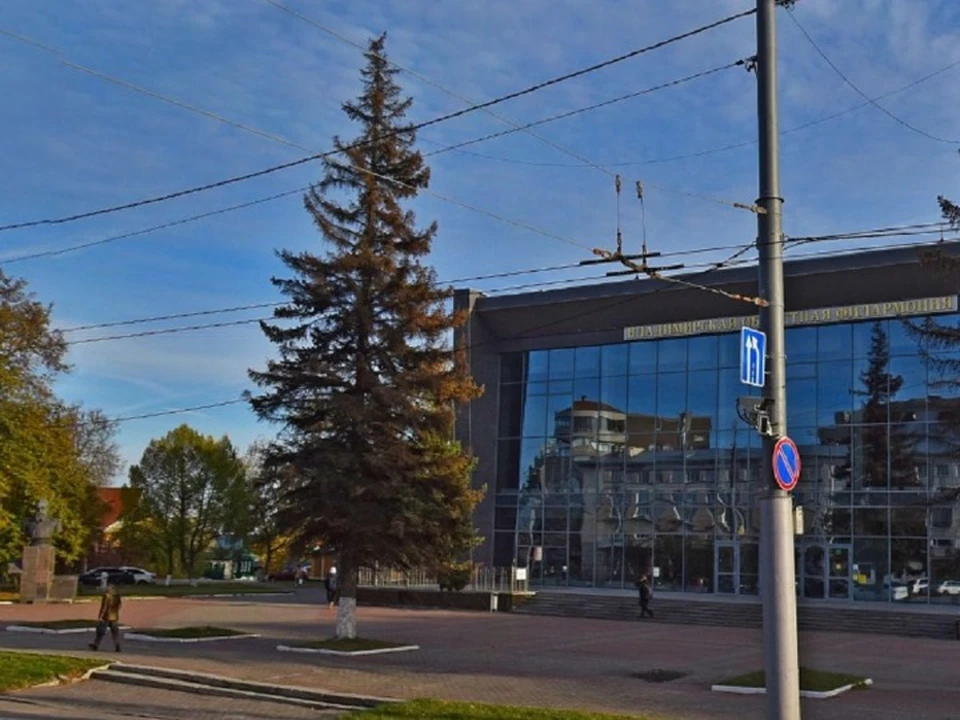 Вот так выглядела ель перед филармонией в 2023 году. Фото с Яндекс.Карты.