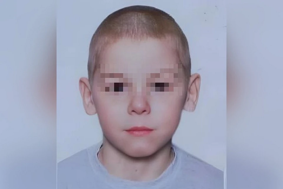 Поиски пропавшего в Шушарах 11-летнего мальчика завершились успешно. Фото: «ЛизаАлерт»
