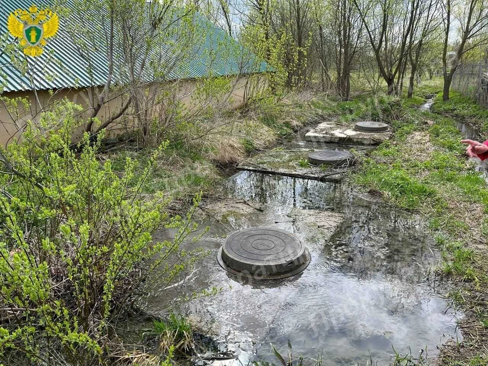 Коттеджный поселок затопил канализацией жителей села Хавки в Тульской области