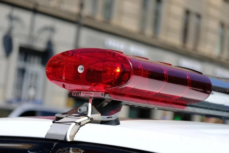В Одинцово женщина напала на девочку-подростка, организована проверка