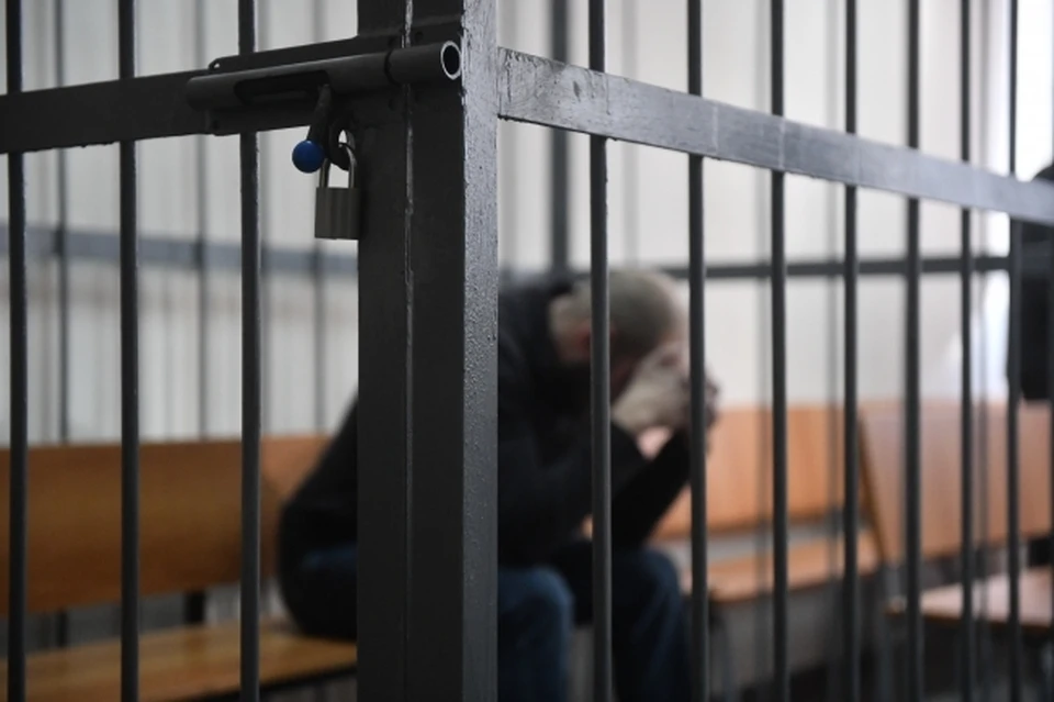 Жителя Хабаровска осудили за преступления против страны