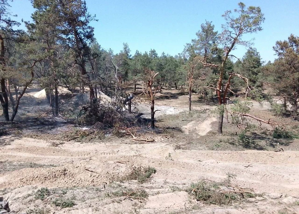 В Херсонской области 5 мая спасатели ликвидировали сразу два природных пожара. ФОТО: минприроды ХО