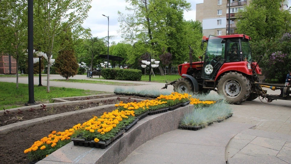 Высадку цветов в Рязани мэрия приостановила из-за заморозков. Фото: администрация Рязани.