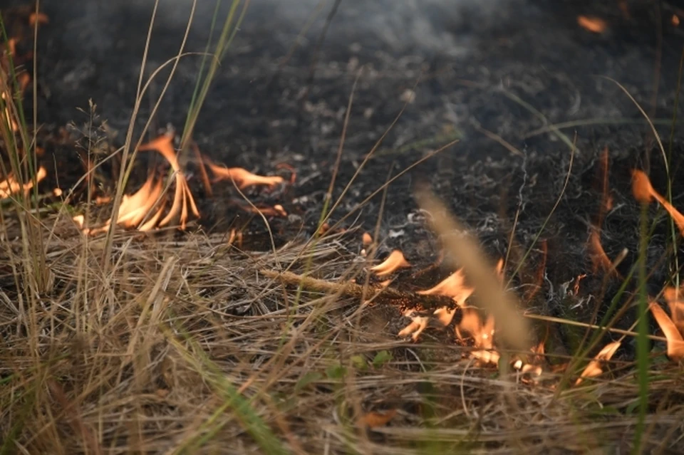 При сжигании мусора на участке загорелась сухая трава возле костра.