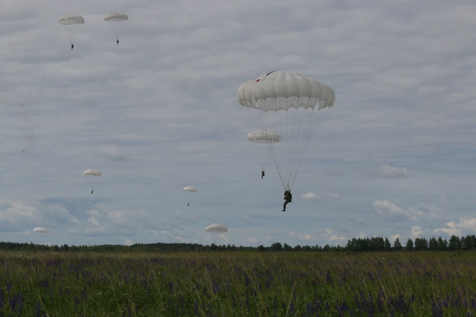 11 военных пострадали во время учений НАТО в Швеции, прыгая с парашютами