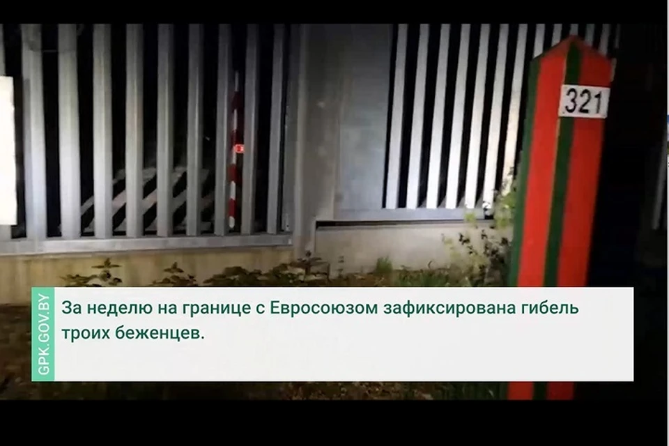 Пограничники Беларуси нашли тела еще 3 мигрантов на границе со странами ЕС. Фото: стоп-кадр | видео ГПК.