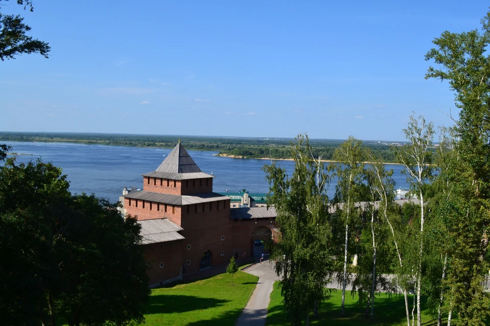 Участник СВО Дмитрий Грачев станет заместителем министра в Нижегородской области.