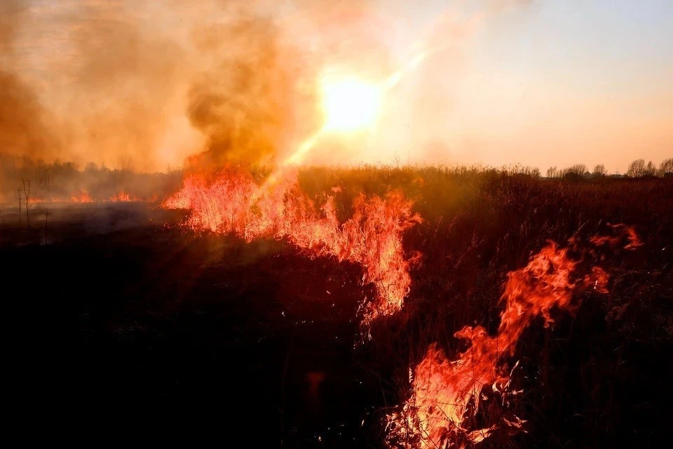 В Крыму ожидается чрезвычайная пожарная опасность 9-12 мая