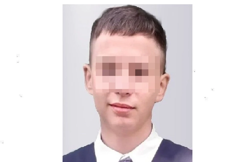 В Новосибирске завершились поиски 11-летнего мальчика со шрамом над бровью Фото: ПСО "ЛизаАлерт НСО".