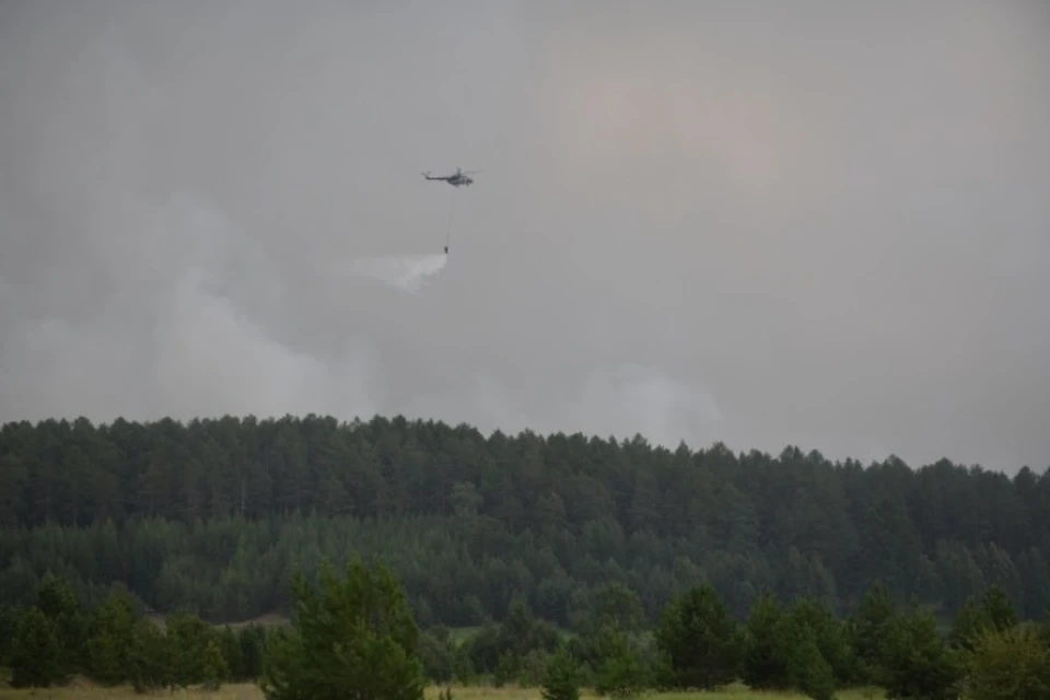 Пожар в 6 км от Вихоревки потушили в Иркутской области