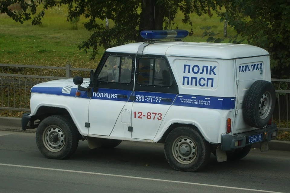 Делом живодера занимаются полицейские Новоуральска