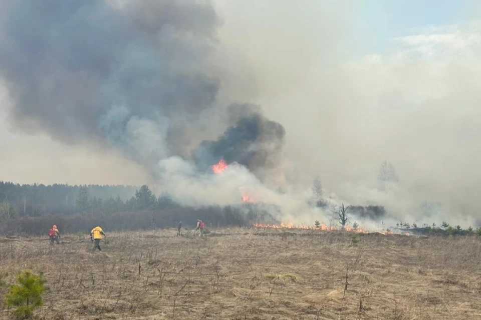 За выходные в лесах Иркутской области потушили 21 пожар