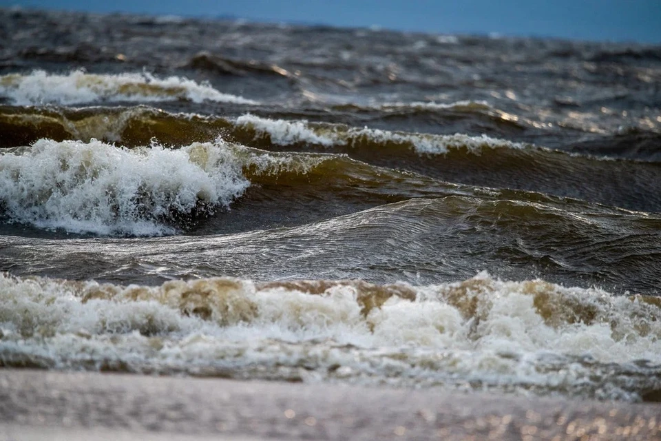 Семилетний ребенок утонул в Финском заливе из-за пьяной матери.