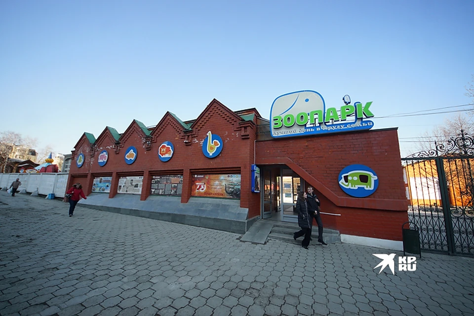 Новые питомцы переехали в зоопарк Екатеринбурга