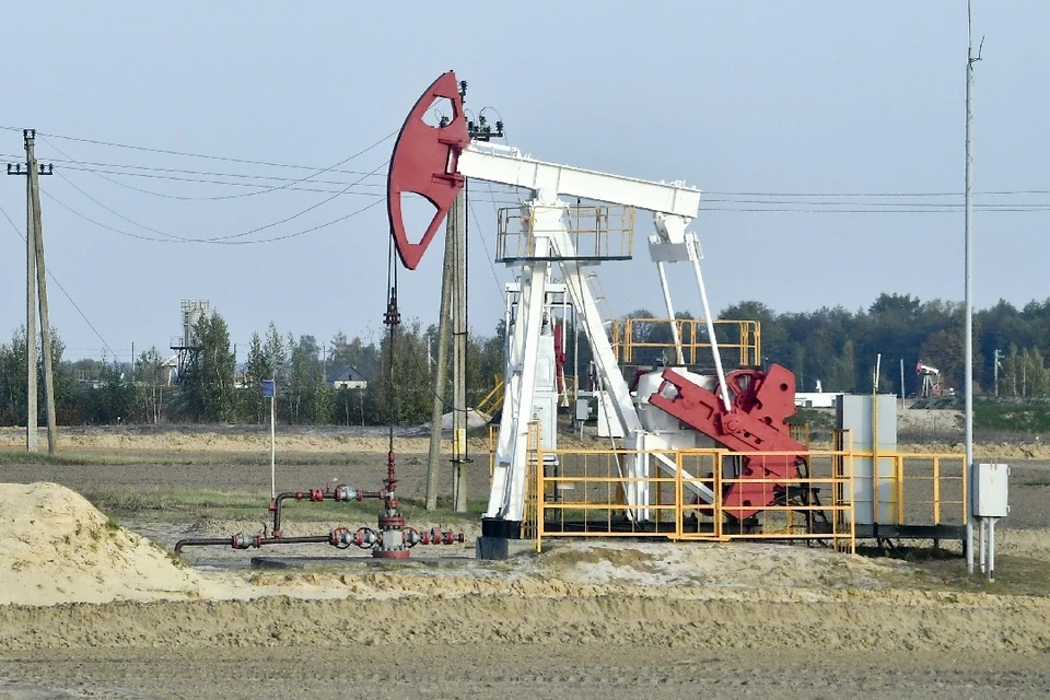 В Новосибирске создали уникальную технологию для улучшения нефтедобычи