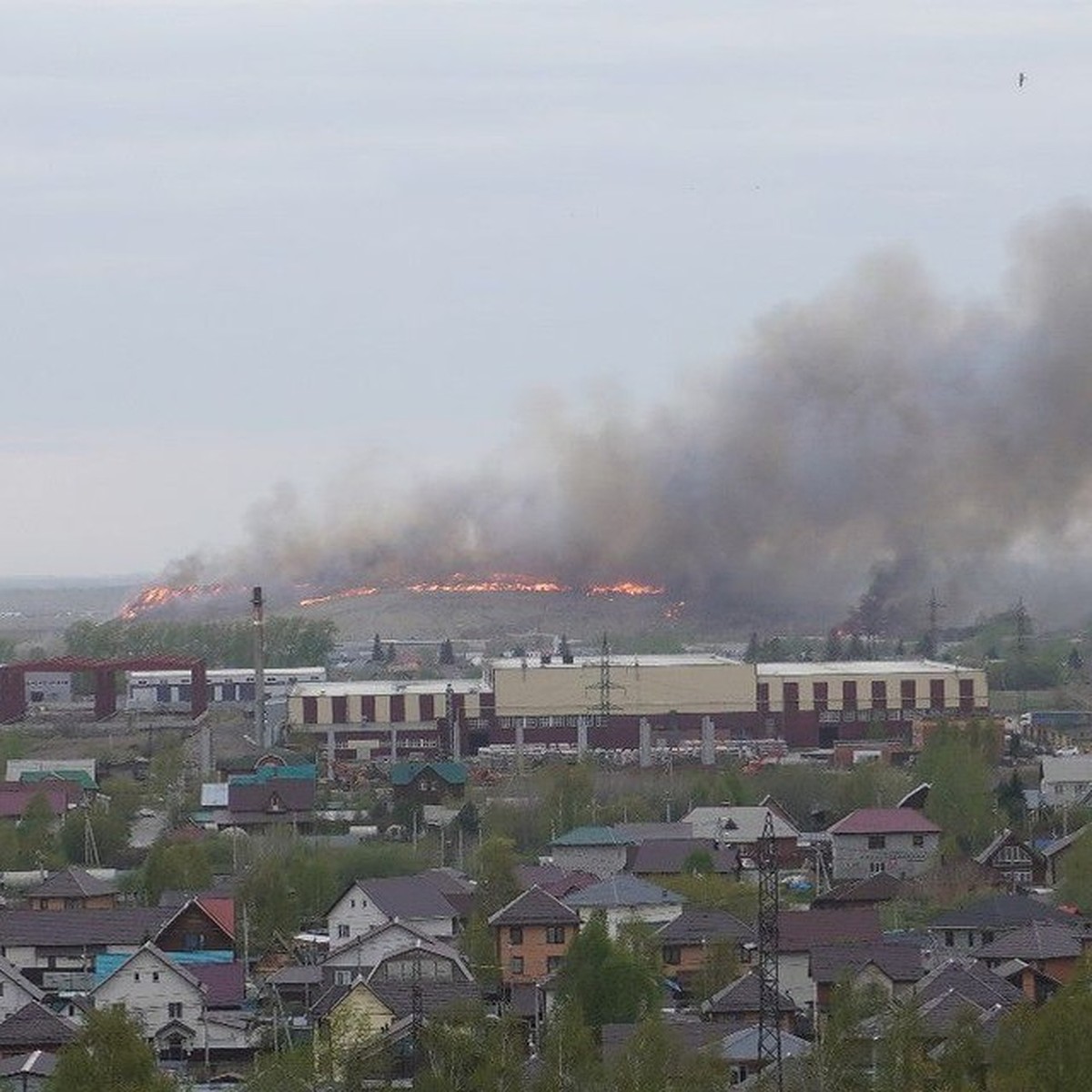 Пожар на мусорном полигоне у Хилокского рынка под Новосибирском 14 мая  2024: хронология событий, причина возгорания - KP.RU