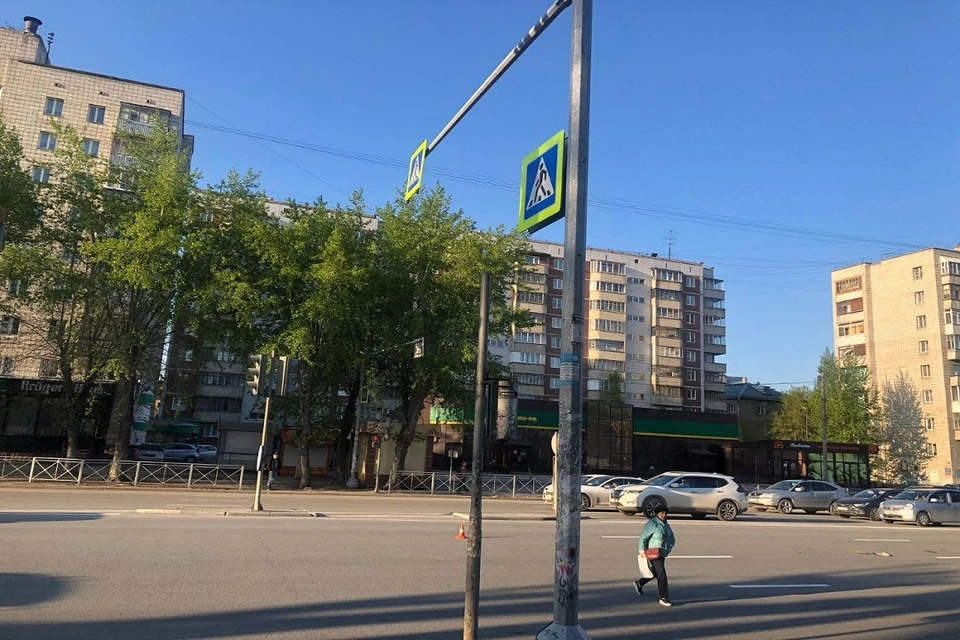 В Новосибирске водитель «Субару» сбил маму с дочкой на пешеходном переходе. Фото: ГИБДД по Новосибирску.