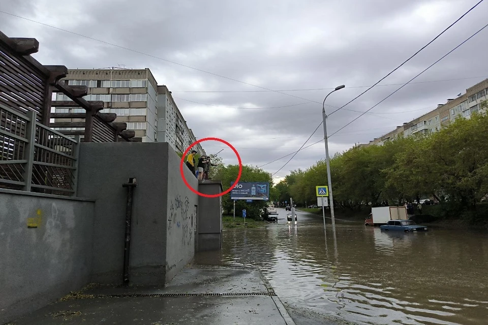 В Новосибирске дети рыбачили из огромной лужи на Кропоткина.