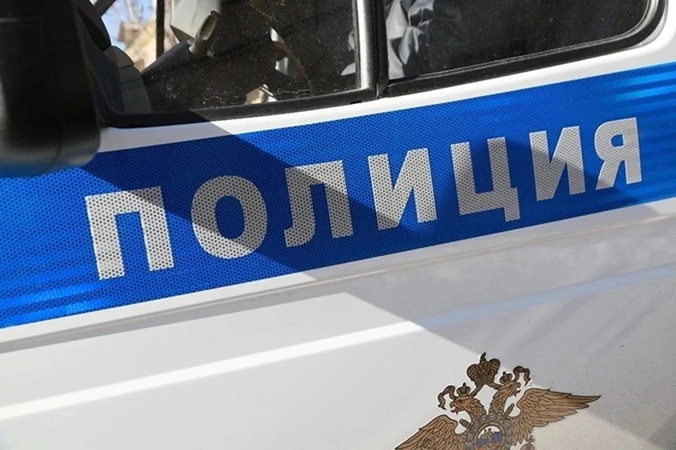 Блогер задержана на 2 суток