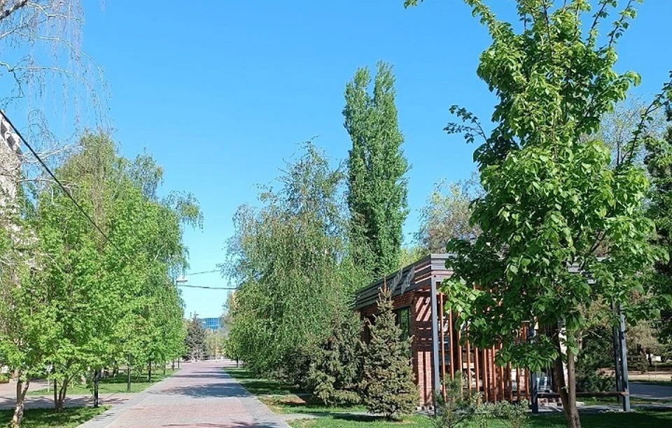 Парк преображается.