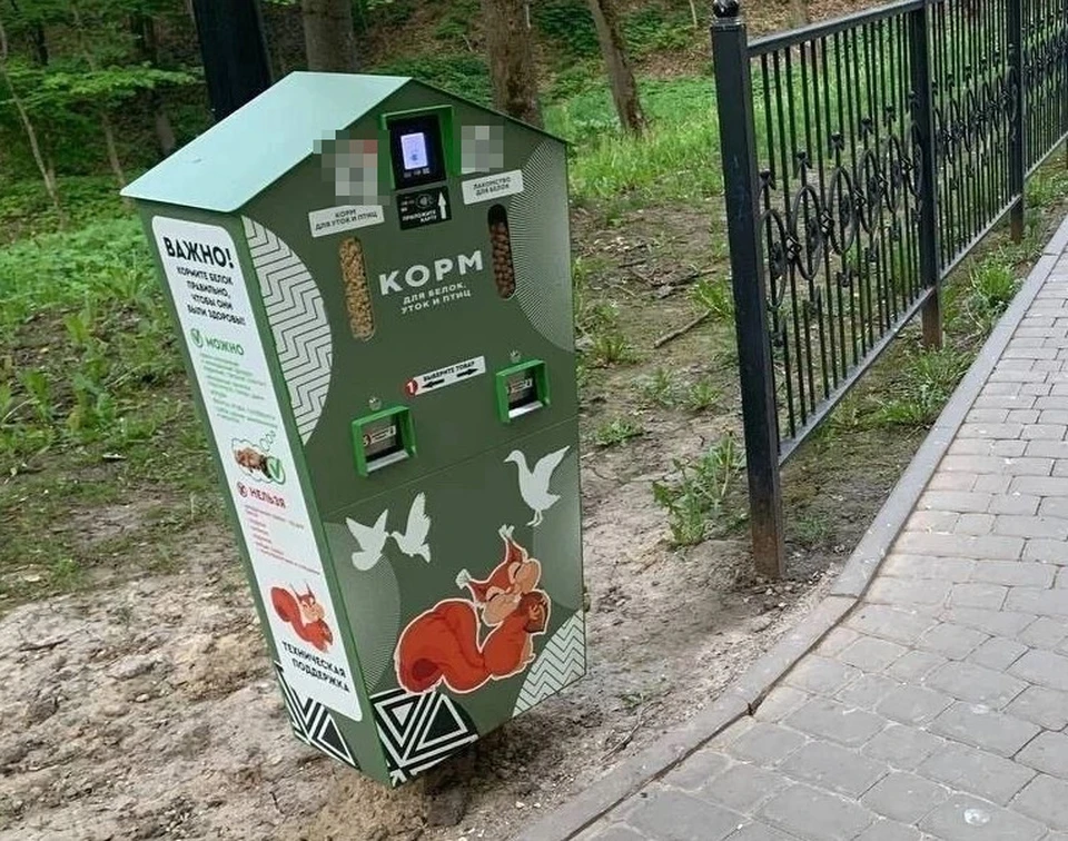 В Платоновском парке Тулы появились автоматы с кормом для белочек и уточек. Фото: ТГ-канал "Т а к и ж и в е м".