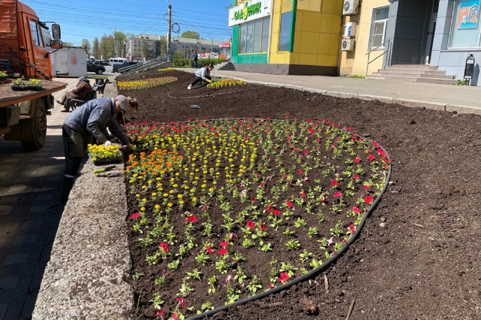 Клумбы будут дополнять дома на Комсомольской площади. Фото: vk.com/public_green_kirov
