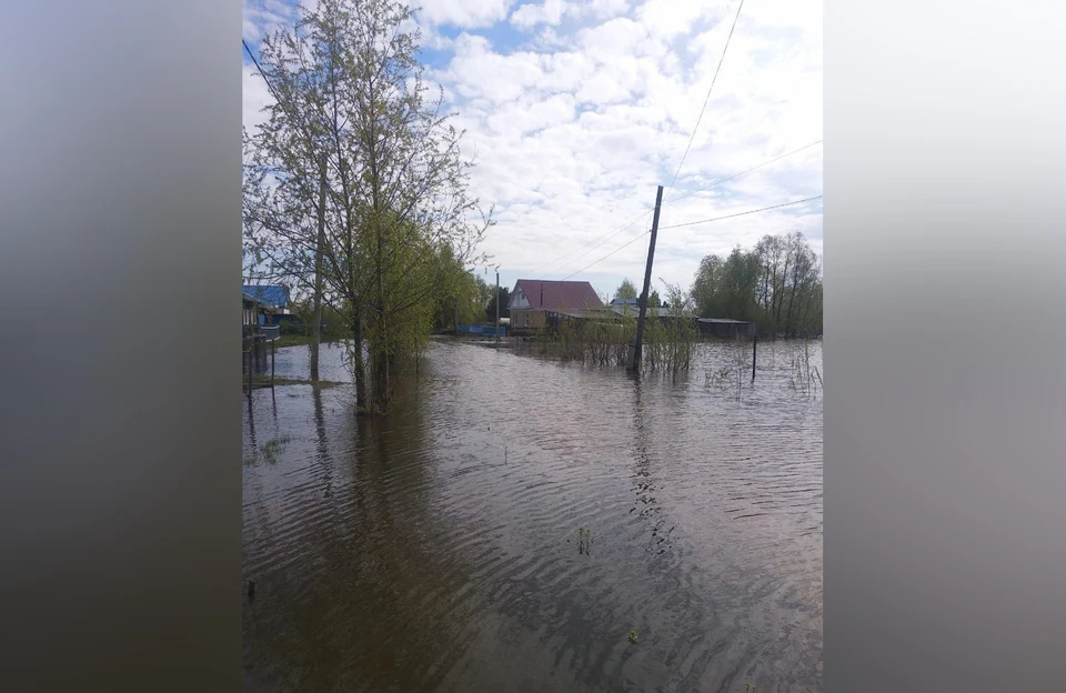 Паводок в Тарском районе. Фото: телеграмм-канал Евгения Лысакова