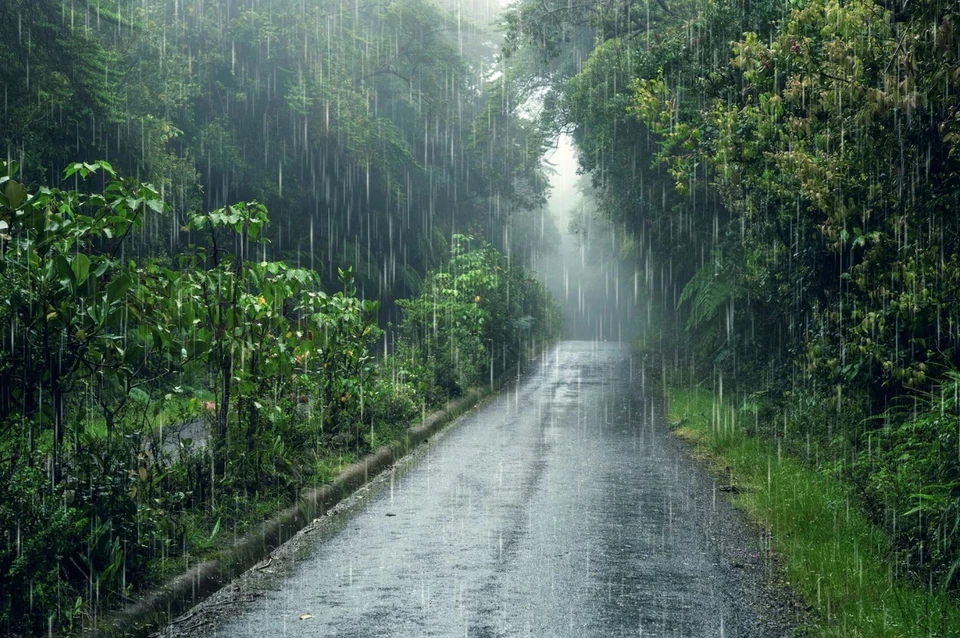 Фото: freepik.com