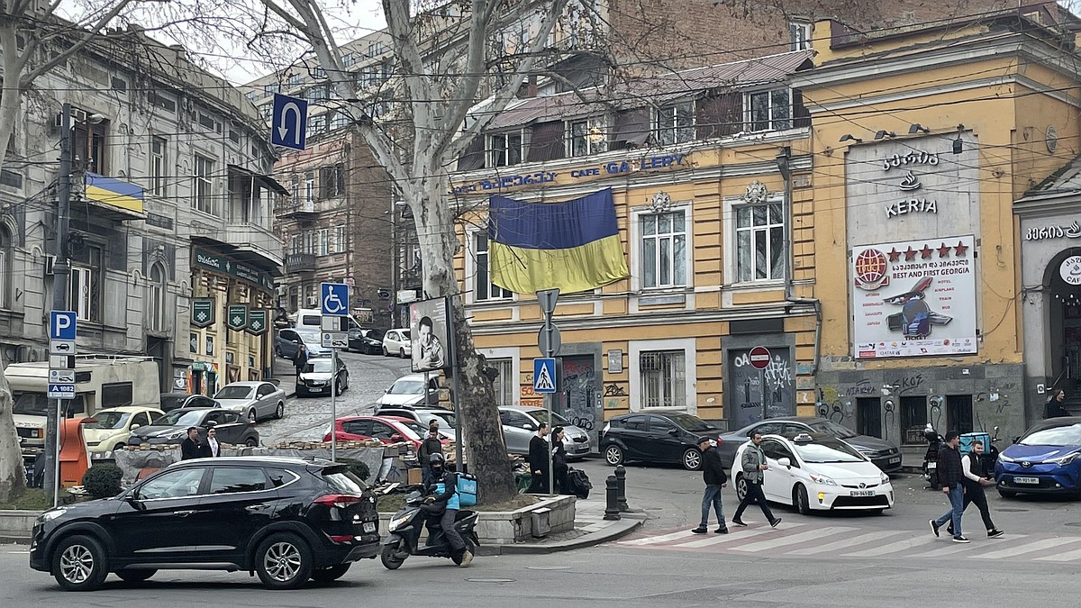 Запад взялся за Грузию: открывайте «второй фронт» против России, или вас  ждут покушения, как на Фицо в Словакии - KP.RU