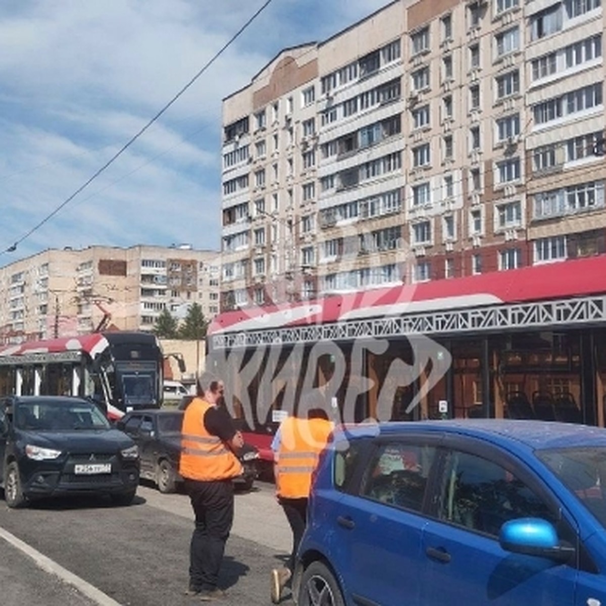 На улице Епифанской в Пролетарском округе Тулы автомобиль сбил женщину с  собаками - KP.RU