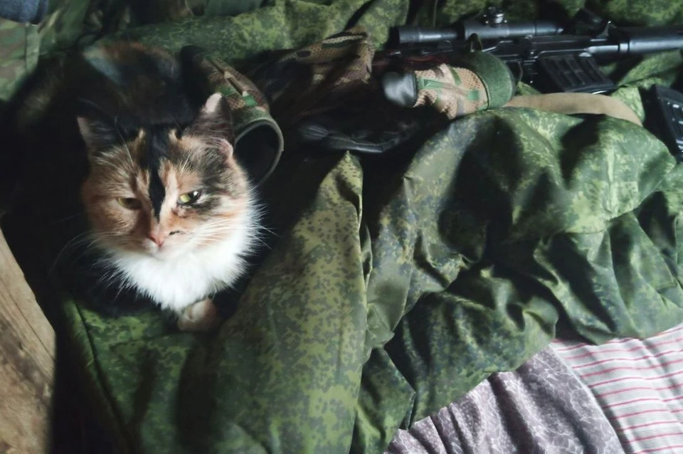 Новосибирские бойцы СВО показали фото нового талисмана. Фото: «Народный фронт» Новосибирской области.