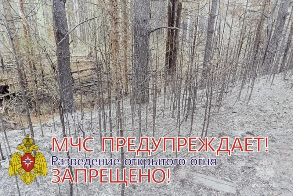 Фото: пресс-служба ГУ МЧС России по Костромской области