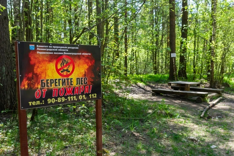 37 лесных пожаров потушили в Ленобласти.