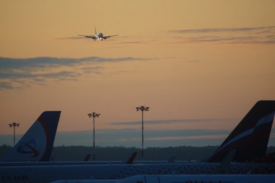 В международном аэропорту Уфы пассажирский самолет из Москвы сбил птицу, когда совершал посадку