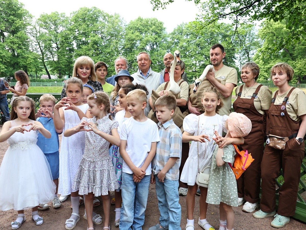 Лебеди Елисей и Любава вернулись в Летний сад - KP.RU