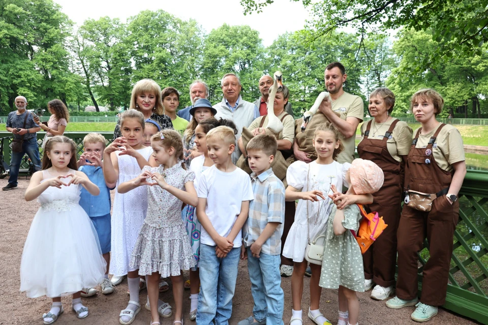Лебеди Елисей и Любава живут в Летнем саду с 2021 года. Фото: пресс-служба Смольного