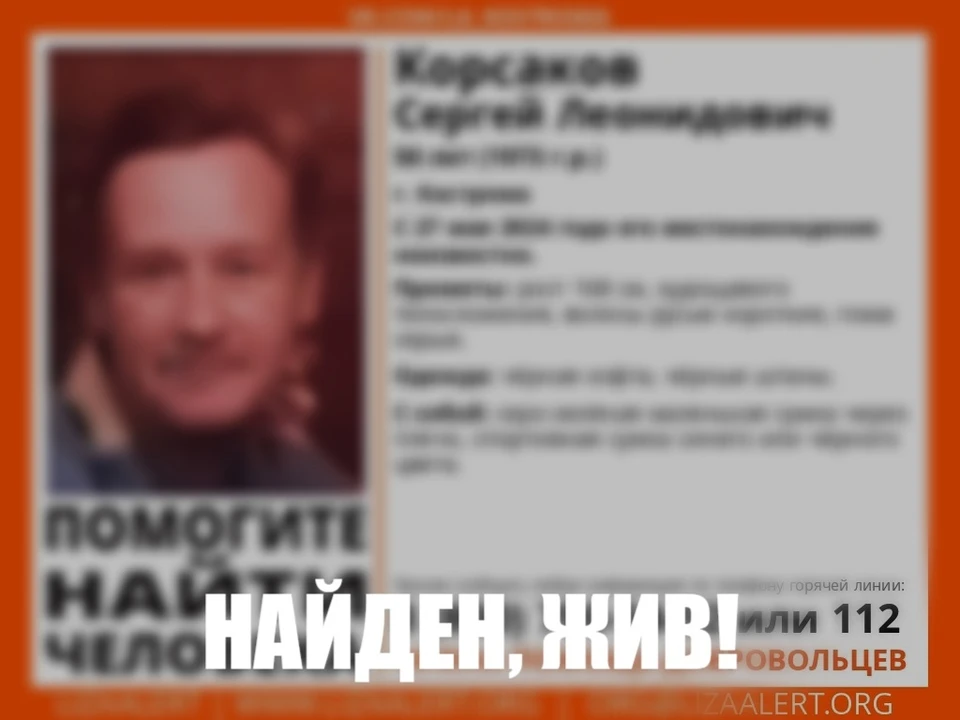 Фото: ДПСО "Лиза Алерт" Костромской области