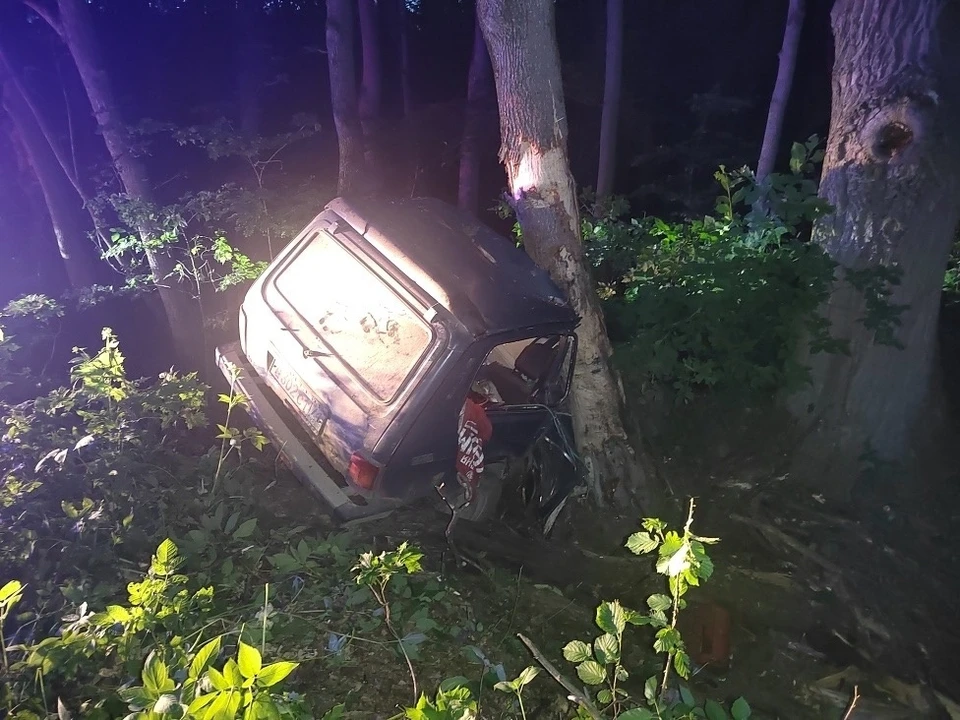 В ДТП в Веневском районе погиб водитель автомобиля «ВАЗ»