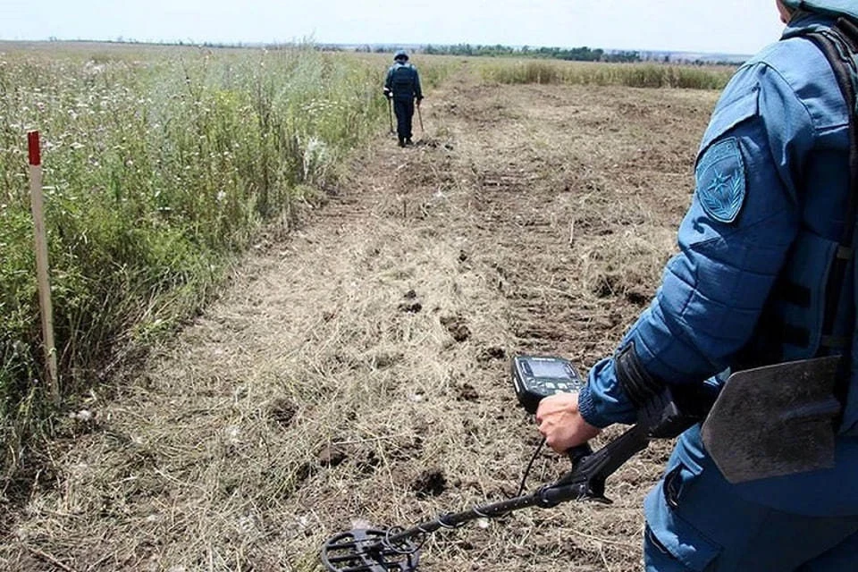 С начала года в ДНР разминировали 348 гектаров сельскохозяйственных земель. Фото: МЧС ДНР