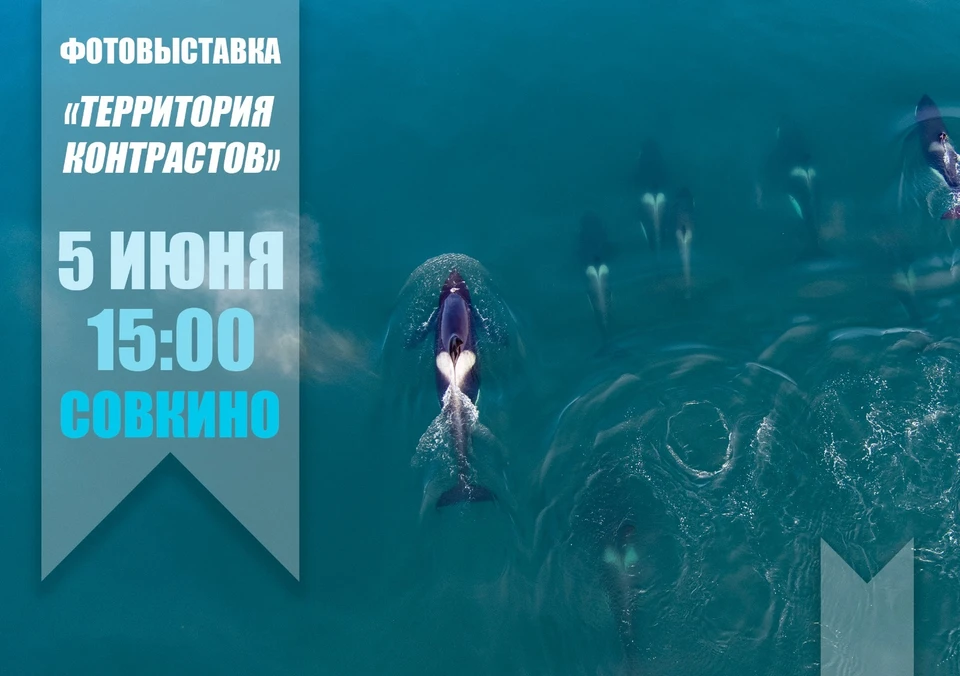 Фотовыставка в преддверии Дня эколога откроется в Хабаровске Фото: Заповедное Приамурье