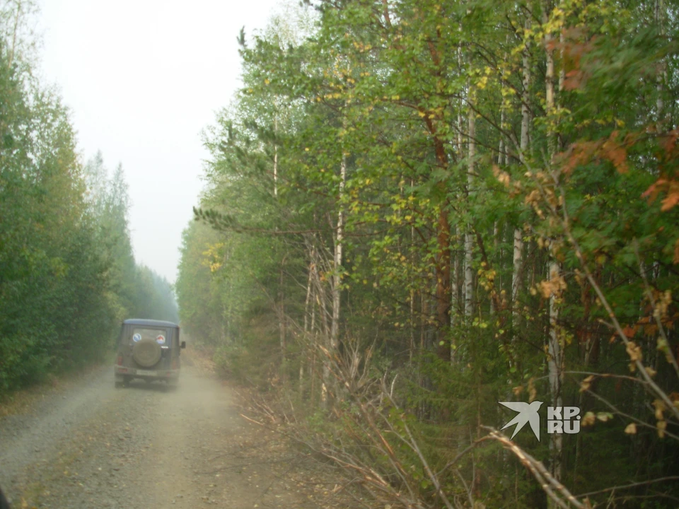 В Свердловской области потушили 39 лесных пожаров на площади 321 гектар
