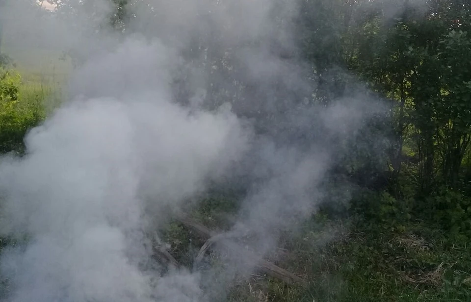 В селе Гора-Подол в результате атаки с помощью FPV-дрона в двух местах загорелась сухая трава.