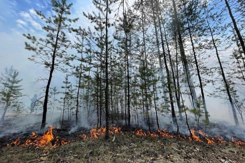Три новых лесных пожара бушуют в Алданском районе