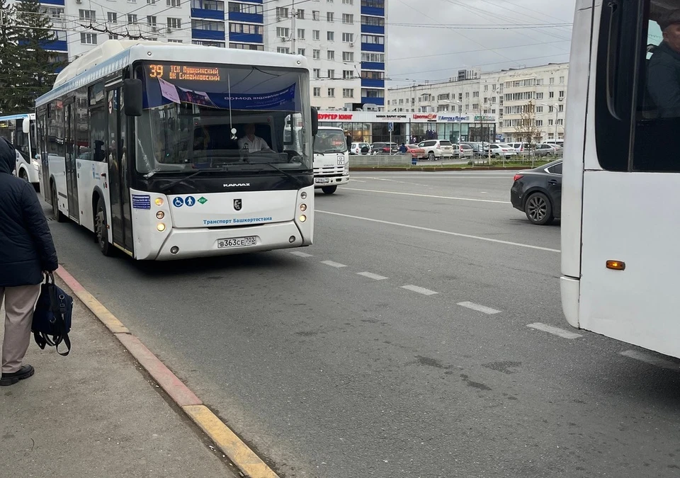 Эту льготу в республике хотят предоставить всем многодетным семьям.