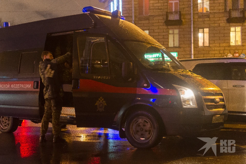 В Рязани вынесли обвинительный вердикт мужчине, убившему и расчленившему девочку-подростка.