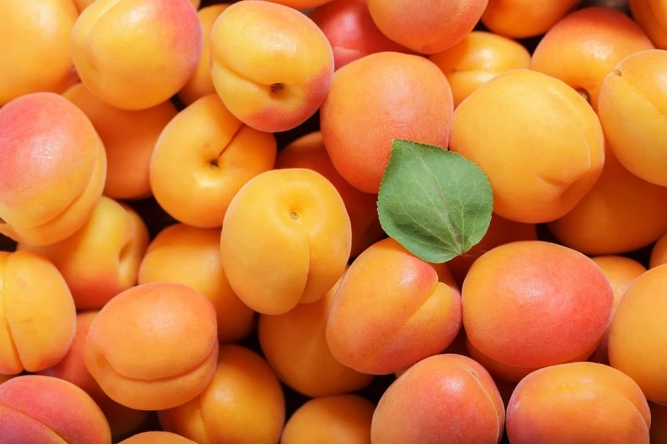 Употребление абрикосов улучшает цвет и упругость кожи. Фото:соцсети